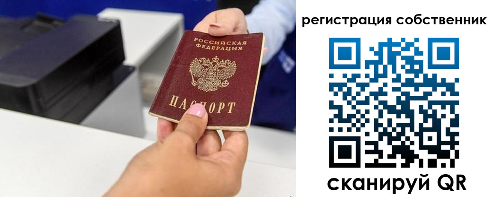 прописка для школы в Новокуйбышевске